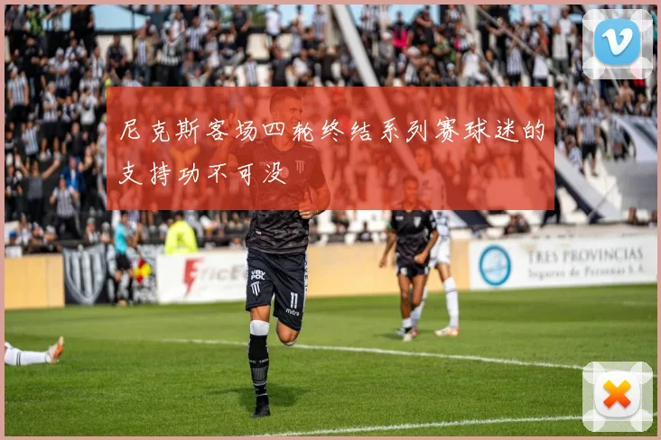 尼克斯客场四轮终结系列赛球迷的支持功不可没